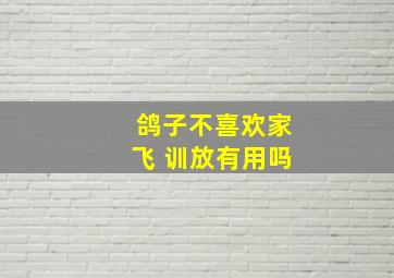 鸽子不喜欢家飞 训放有用吗